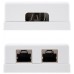 ROSETA DE SUPERFICIE RJ45 CAT.6 FTP 2 BLANCO NANOCABLE (Espera 4 dias)