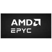 AMD EPYC 9555 (Espera 4 dias)-1,040SX AMD EPYC 9555 (Espera 4 dias)
