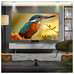 LG Televisor QNED evo 2,54 m (100") 4K Ultra HD Smart TV Wifi Negro-SX605 LG Televisor QNED evo 2,54 m (100") 4K Ultra HD Smart TV Wifi Negro