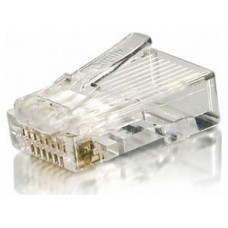 Equip 121143, RJ-45, Transparente, Cat6, Oro, 160 g,