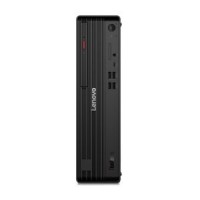 Lenovo TS/TC M70SG6 U5-225 16GB 512GB W11P