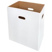 HSM Caja de carton de B35 para SECURIO B35