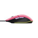 RATON TRUST GXT 109 FELOX PK-DU3 RATON TRUST GXT 109 FELOX PK