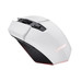 RATON TRUST GXT 110 FELOX WH-SX4 RATON TRUST GXT 110 FELOX WH