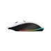 RATON TRUST GXT 110 FELOX WH-SX4 RATON TRUST GXT 110 FELOX WH