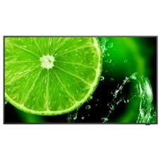 NEC MultiSync E498 124,5 cm (49") IPS 350 cd / m² 4K Ultra HD Negro 16/7 (Espera 4 dias)