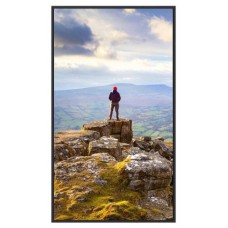 SHARP ESSENTIAL DISPLAYS MODEL PN-E439, 43" E-SERIES LARGE FORMAT DISPLAY, UHD, 350CD/M2, D-LED BACKLIGHT, 16/7 PROOF, USB MEDIAPLAYER   (60006181) (Espera 4 dias)