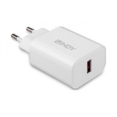 Lindy 73412 cargador de dispositivo m&oacute;vil Smartphone, Tableta Blanco Corriente alterna Carga r&aacute;pida Interior, Exterior (Espera 4 dias)