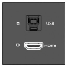 KRAMER ROOM CONNECTIVITY PASSIVE BLACK MODULE WITH 1 HDMI PORT + 1 USBB PORT INPUT.- MD-H+B/AF(B) (80-000358) (Espera 4 dias)