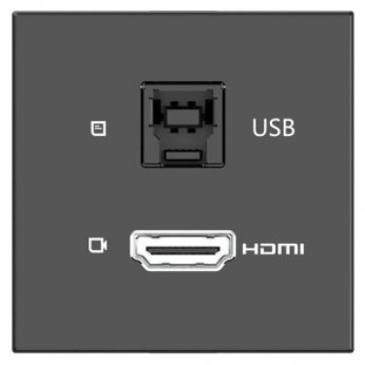 KRAMER ROOM CONNECTIVITY PASSIVE BLACK MODULE WITH 1 HDMI PORT + 1 USBB PORT INPUT.- MD-H+B/AF(B) (80-000358) (Espera 4 dias)-SX35 KRAMER ROOM CONNECTIVITY PASSIVE BLACK MODULE WITH 1 HDMI PORT + 1 USBB PORT INPUT.- MD-H+B/AF(B) (80-000358) (Espera 4 dias)