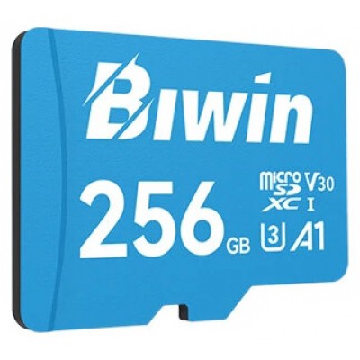 Biwin MS100 microSDXC UHS-1 256GB C10 U3 V30 A1