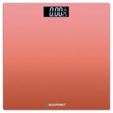 BLP-PAE-BAS BP5008