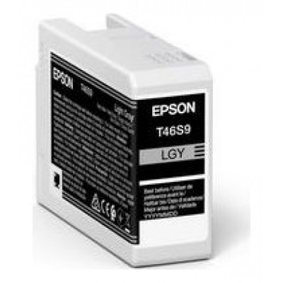 EPSON  Singlepack Light Gray T46S9 UltraChrome Pro 10 ink 25ml SC-P700