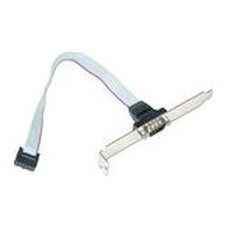 Gembird Cable DB9 Puerto Serie de 10pin 0,25mts-SX0 Gembird Cable DB9 Puerto Serie de 10pin 0,25mts
