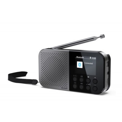 Sharp DR-P520 Personal Digital Gris (Espera 4 dias)