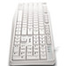 TECLADO NGS HERITAGE WH