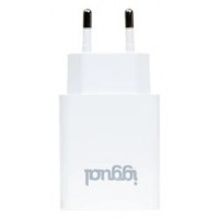 iggual Cargador de pared 1xUSB 5V/2.4A (12W)