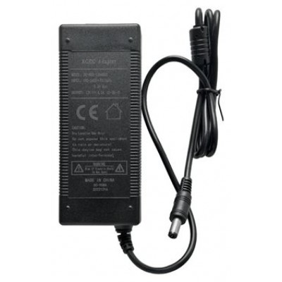 iggual Adaptador corriente AC/DC 12V 4A monitor