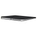 RATON APPLE TRACKPAD NEGRO (Espera 4 dias)