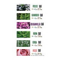 Floralabels Etiquetas de lazo 33x250 mm, 6 por hoja OKIMED32