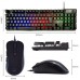 EWENT teclado+raton gaming PL3201 usb