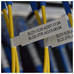 Brother Rotuladora Electronica PTE920BT-SX66 Brother Rotuladora Electronica PTE920BT