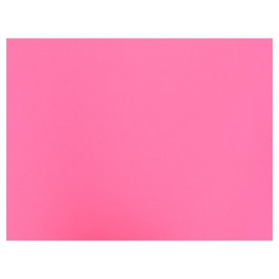 BOLSA 25 CARTULINAS 185 GR 50 X 65 CM FUCSIA FABRIANO S3215609 (Espera 4 dias)