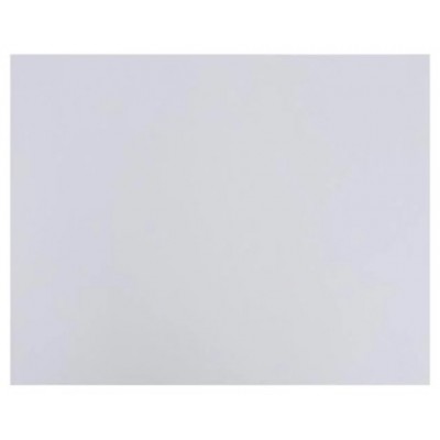 BOLSA 25 CARTULINAS 185 GR 50 X 65 CM GRIS PERLA FABRIANO S3215629 (Espera 4 dias)