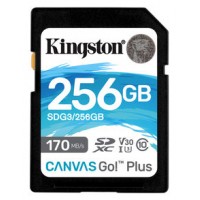 MEMORIA KINGSTON-SD SDG3 256GB
