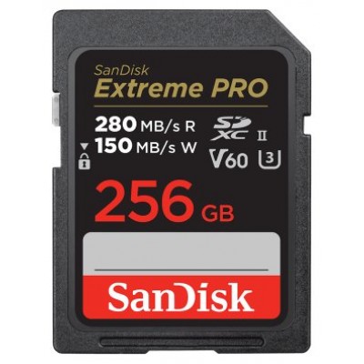 SanDisk SDSDXEP-256G-GN4IN memoria flash 256 GB SDXC UHS-II Clase 10 (Espera 4 dias)